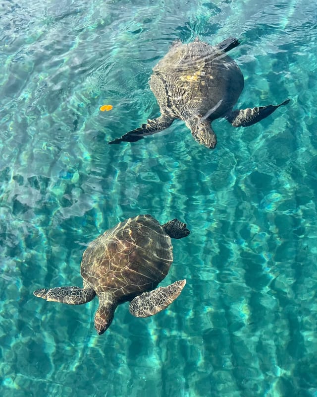 Kekova Boat Tour — Full-Day Private Kekova Tour (1)